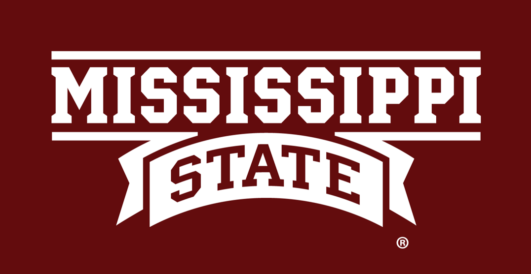 Mississippi State Bulldogs 2009-Pres Wordmark Logo v2 iron on transfers for fabric